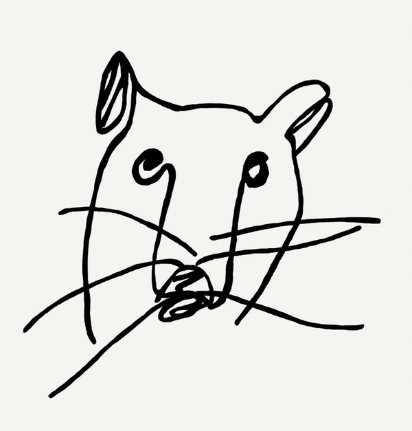 @api_rats